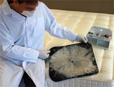 Tissu sale